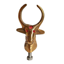 Load image into Gallery viewer, Royal Enfield Front Mudguard Bull