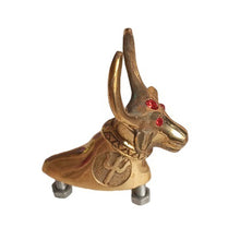 Load image into Gallery viewer, Royal Enfield Front Mudguard Bull